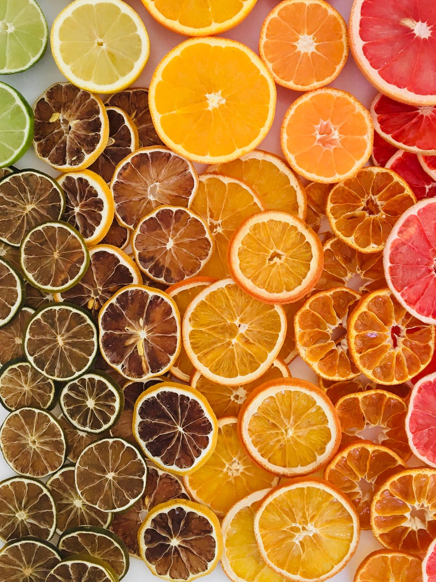 FreshDried Citrus Mix - 5 Citrus Blend, Canada