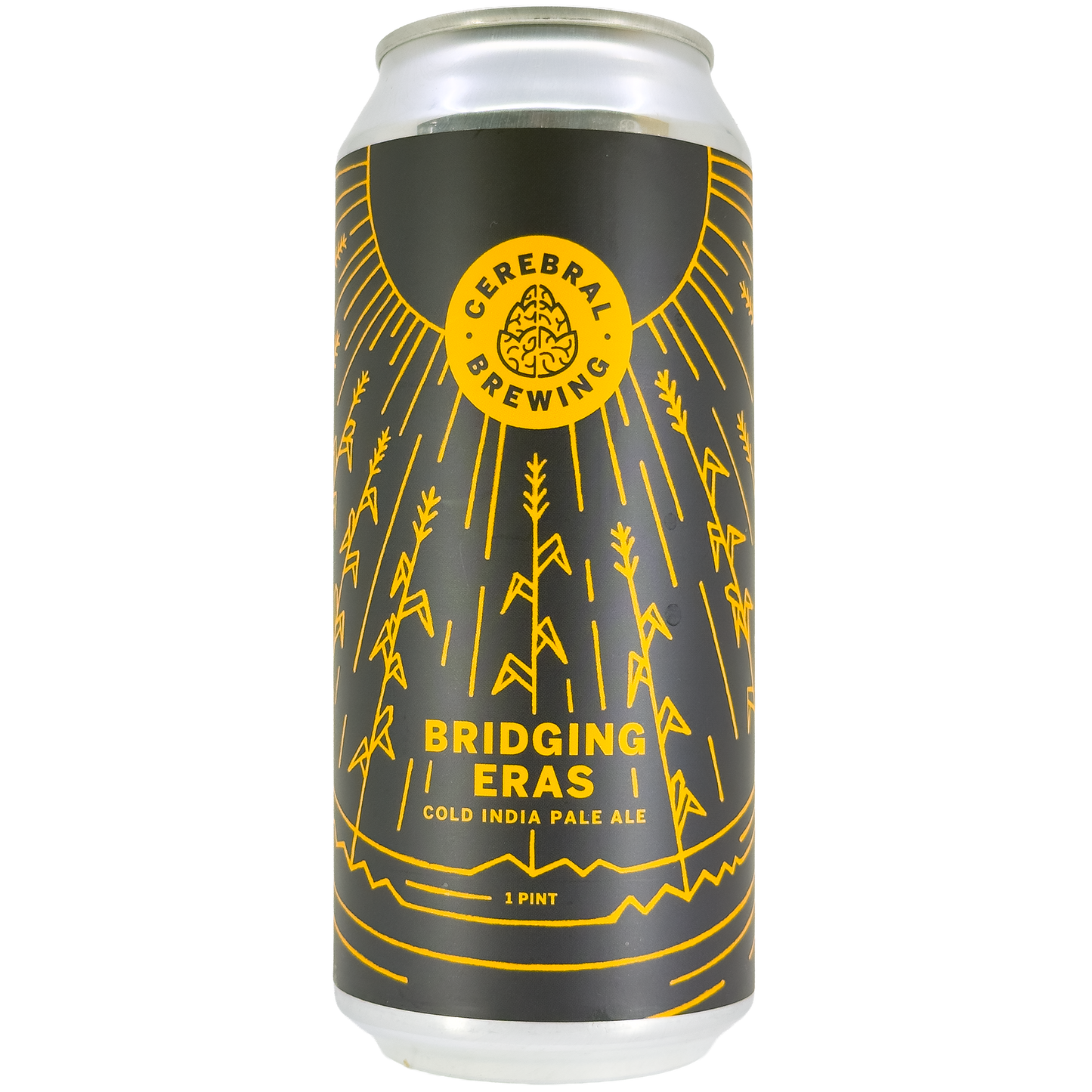 Cerebral Brewing 'Bridging Eras' Cold IPA Beer, Colorado