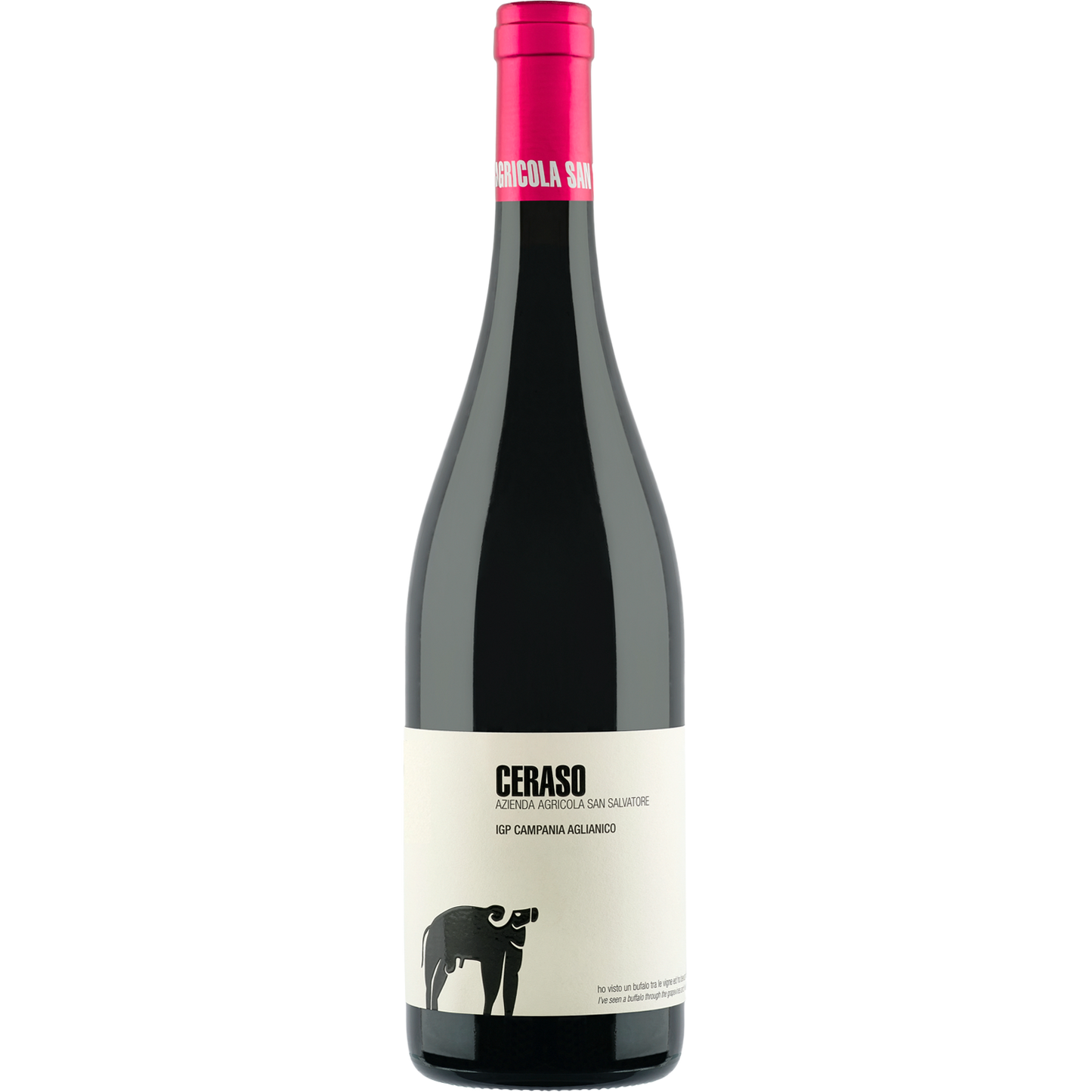 San Salvatore 'Ceraso' Aglianico, Paestum IGT, Campania, Italy