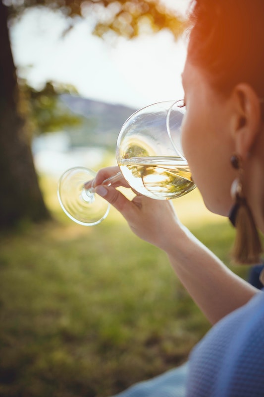 The Beginner’s Guide to Wine Tasting