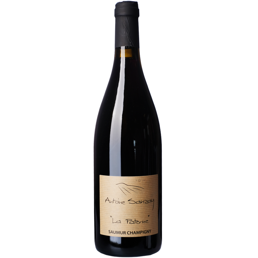 Domaine Antoine Sanzay Saumur-Champigny La Paterne, Loire, France